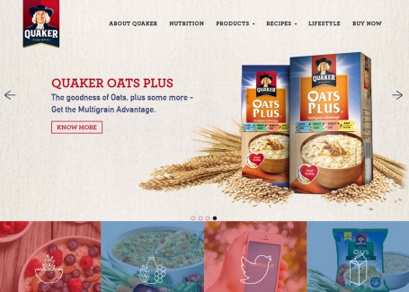 Website Development Company in India